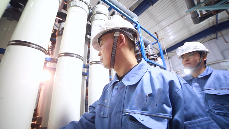 海棠果種子油脂肪酸成分研究